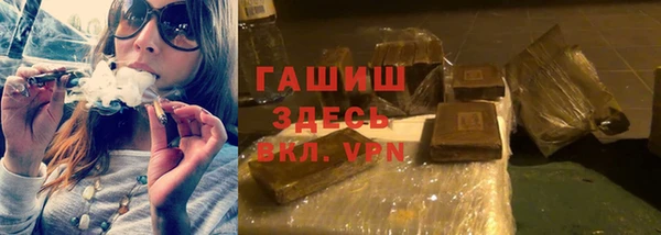 шишки Новодвинск