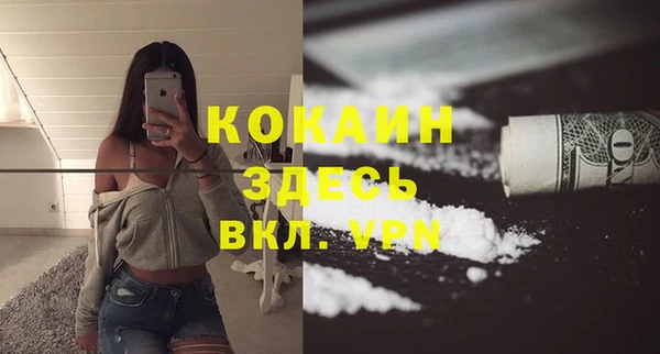 шишки Бронницы