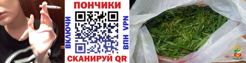 дарк нет формула  Нарьян-Мар  Каннабис семена 
